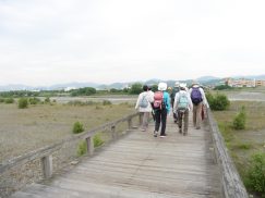 2016-6-19蓬莱橋・掛川城 155