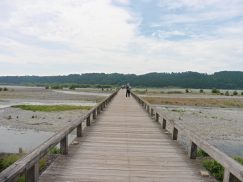 2016-6-19蓬莱橋・掛川城 019