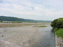 2016-6-19蓬莱橋・掛川城 020