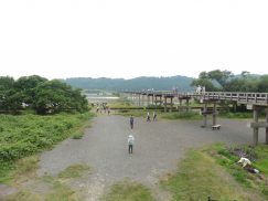 2016-6-19蓬莱橋・掛川城 167