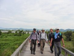 2016-6-19蓬莱橋・掛川城 030