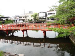 2016-6-19蓬莱橋・掛川城 215