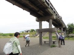 2016-6-19蓬莱橋・掛川城 185