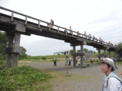 2016-6-19蓬莱橋・掛川城 183