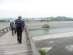 2016-6-19蓬莱橋・掛川城 144