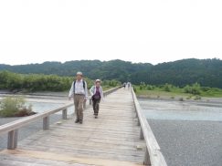 2016-6-19蓬莱橋・掛川城 152