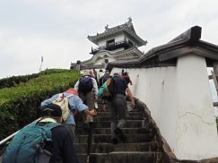 2016-6-19蓬莱橋・掛川城 207