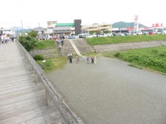 2016-6-19蓬莱橋・掛川城 156