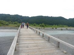 2016-6-19蓬莱橋・掛川城 150