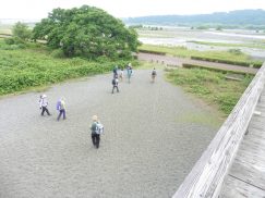 2016-6-19蓬莱橋・掛川城 159