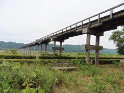 2016-6-19蓬莱橋・掛川城 179