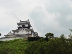 2016-6-19蓬莱橋・掛川城 203