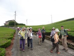 2016-6-19蓬莱橋・掛川城 123