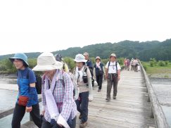 2016-6-19蓬莱橋・掛川城 146