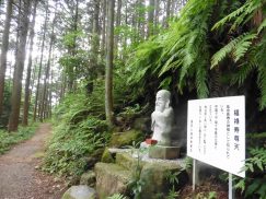 2016-6-19蓬莱橋・掛川城 094