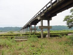 2016-6-19蓬莱橋・掛川城 184