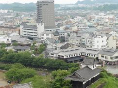 2016-6-19蓬莱橋・掛川城 210