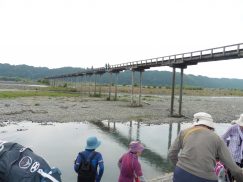 2016-6-19蓬莱橋・掛川城 172