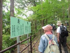 2016-6-19蓬莱橋・掛川城 059