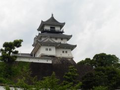 2016-6-19蓬莱橋・掛川城 213