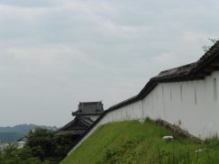 2016-6-19蓬莱橋・掛川城 211