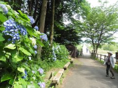 2016-6-19蓬莱橋・掛川城 039