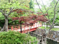 2016-6-19蓬莱橋・掛川城 217