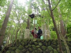 2016-6-19蓬莱橋・掛川城 056