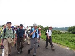 2016-6-19蓬莱橋・掛川城 188