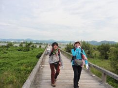 2016-6-19蓬莱橋・掛川城 031