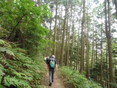 2016-6-19蓬莱橋・掛川城 130