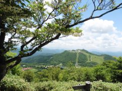 エゴの木と萩太郎山