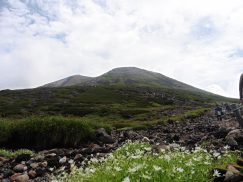 乗鞍岳2016-7-30 062