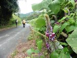 宮路山・五井山2016-09-04 099