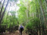 宮路山・五井山2016-09-04 027